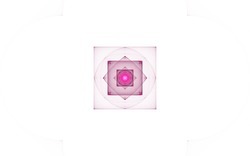 2014 04 30 Webs and Things 04-white.jpg